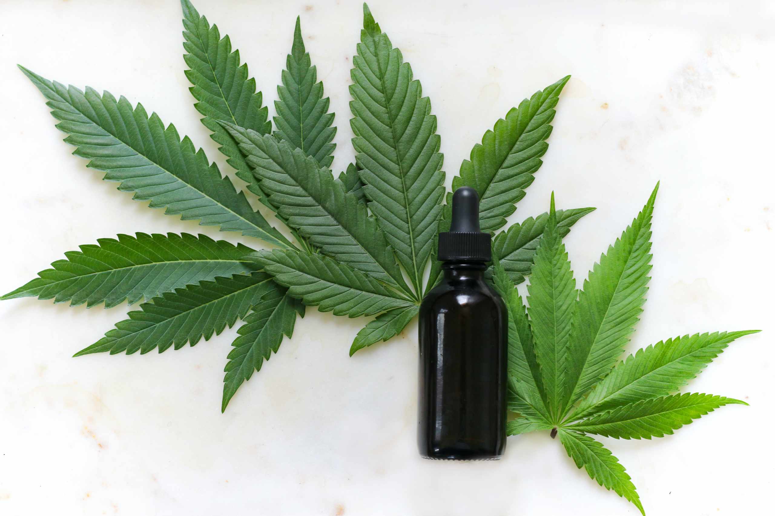 Beginners Guide to CBD