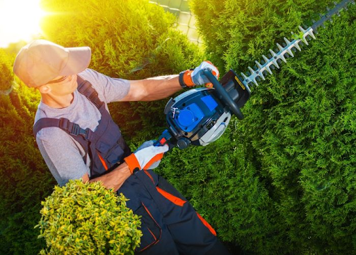 Best Landscapers