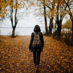 rediscover local landscapes