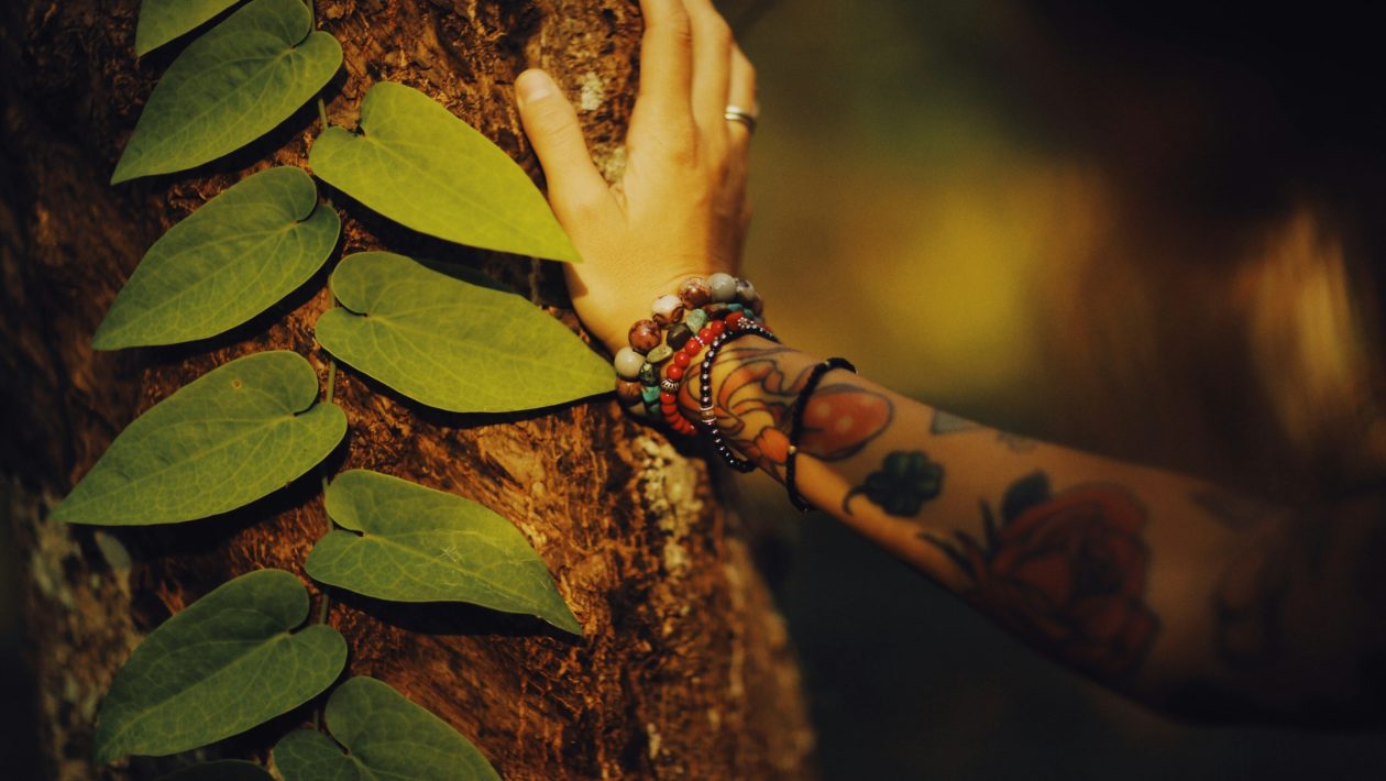 Finding Healing in the Wild