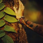 Finding Healing in the Wild